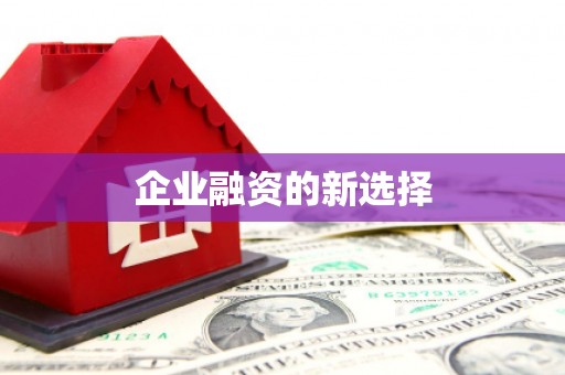 峨边企业融资的新选择