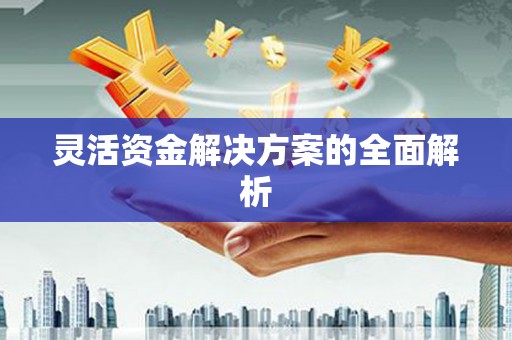 峨边灵活资金解决方案的全面解析